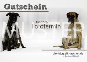 Gutschein Fototermin Fotografin Aachen